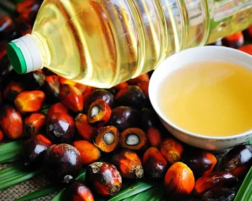 Palm Oil